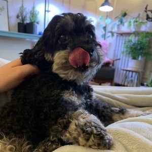 Meet your Posher, Sabrina